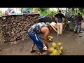 TEN CUIDADO CUANDO PARTES UN COCO PORQUE ESTO TE PUEDE PASAR