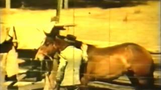 Horse Breaking - The Jeffery Way (aka 'The Jeffery Method')