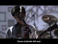 Wonder Future / Asian Kung Fu Generation (Sub espa&ntilde;ol)