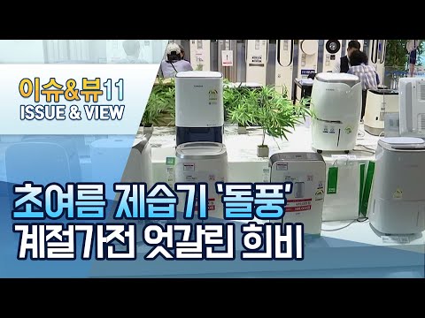 공청기 &amp;#39;시들&amp;#39; <strong>제습기</strong> &amp;#39;돌풍&amp;#39;…계절가전 엇갈린 희비 / 머니투데이방송 (뉴스)