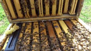 April 12, 2017 Snelgrove Method