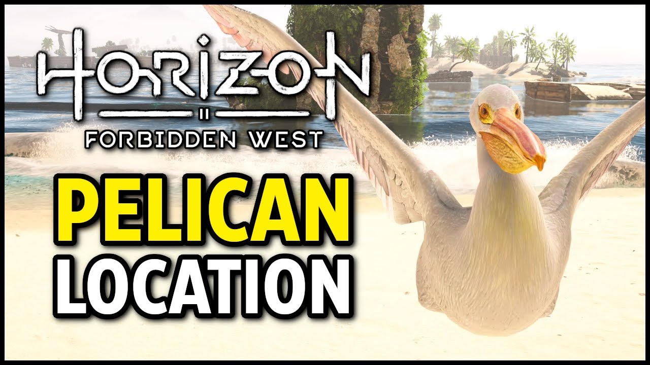 Where to Find Pelican - Horizon Forbidden West (Pelican Location)