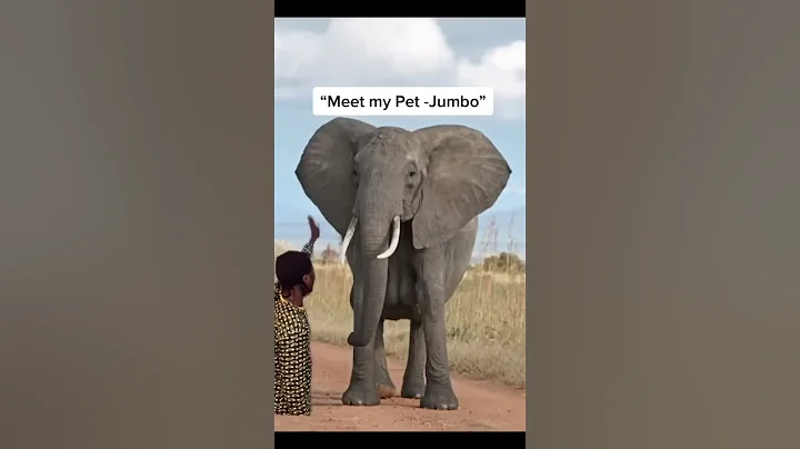 What some people think of Africa😂 - DayDayNews