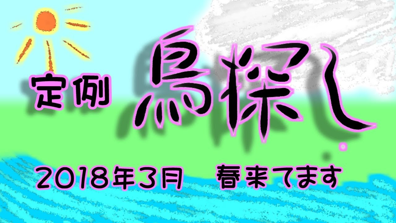 野鳥雨靴 定例鳥探し 2018年3月 まだまだ冬鳥