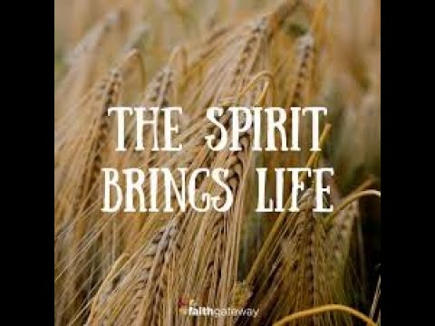 HOLY FEAST OF PENTECOST MAY 31, 2020 - YouTube