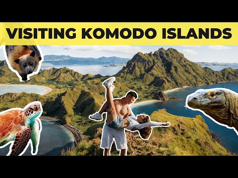 Best of Indonesia - Traveling to Komodo Islands - New Nature Wonder 🏝🦎