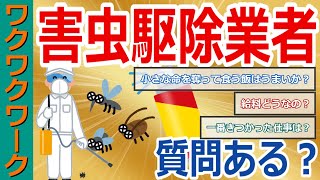 害虫駆除業者だけど質問ある？害虫の駆除方法やきつい現場や給料など丸分かり！【2chまとめゆっくり解説公式】