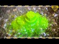 Boiling Green Kinetic Sand