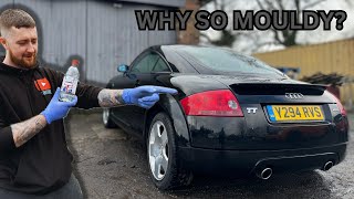 Secret trick to easily REMOVE mold from a car