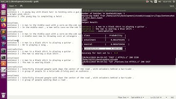 Semantics Textual Similarity