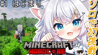 【Minecraft】４んだら初めから…初挑戦!!ハードコアソロでエンドラ討伐まで！【氷猫みう / MEWLIVE】#新人vtuber