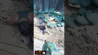 বিল্ডিং আছে সিঁড়ি নাই তাই সিঁড়ি তৈরি হচ্ছে। #home #homebuilding #construction