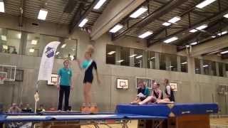 20140621 HGV Trampolinespringen