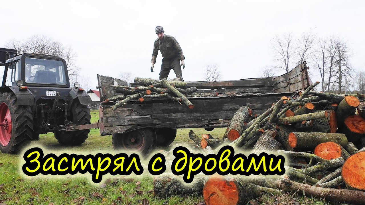 Застрял с дровами // Самый легкий способ сбора листьев // Жизнь в деревне // Семья Лях