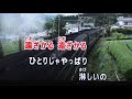 お別れ終列車 永井みゆき・♬伊藤きみ江(三浦敏夫)