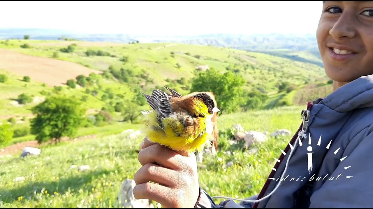 Gerger Güzelsu Köyü part 2.