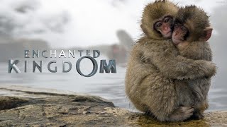 Bbc Earth Enchanted Kingdom Trailer