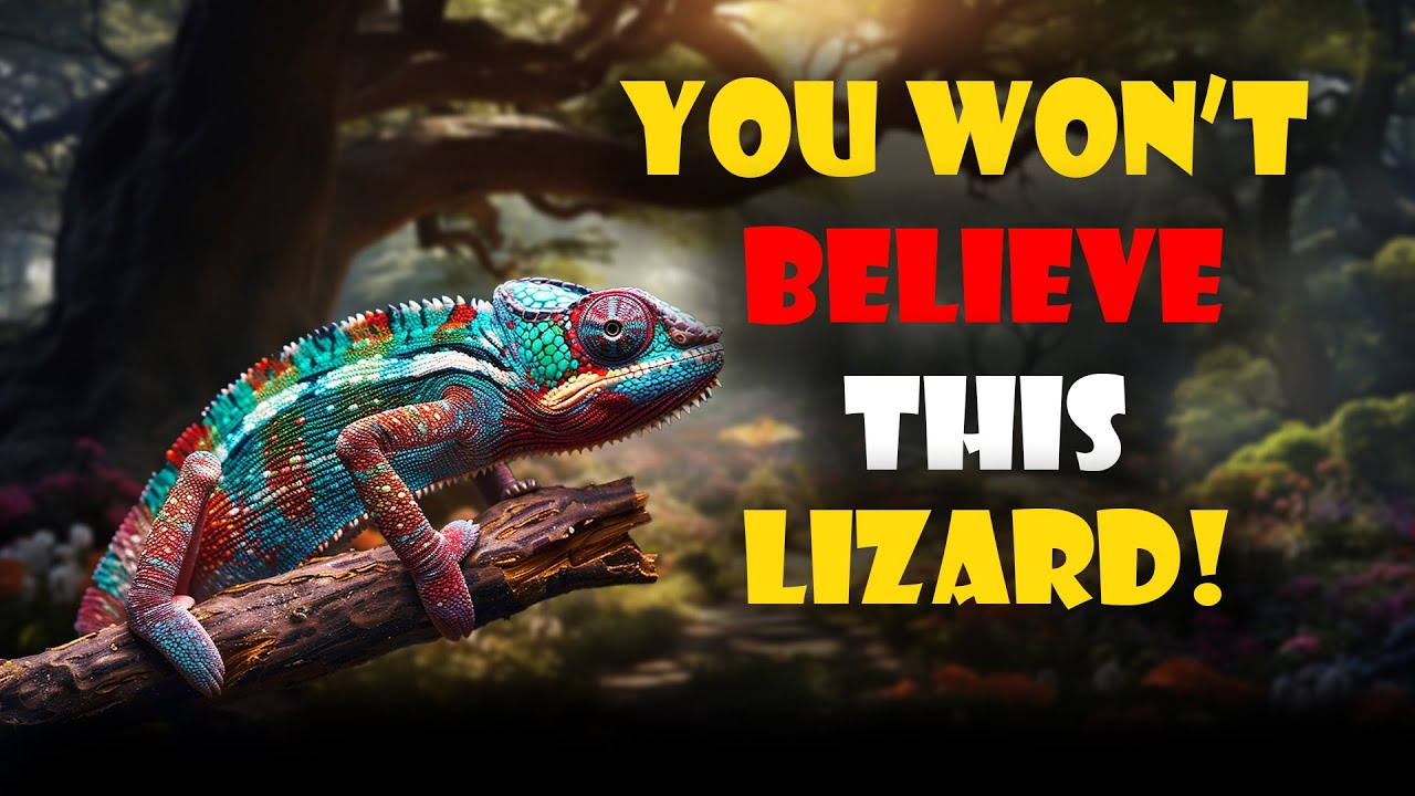 The Most Beautiful Color-Changing Lizard on Earth!