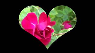 "Love You Better" Jimpster