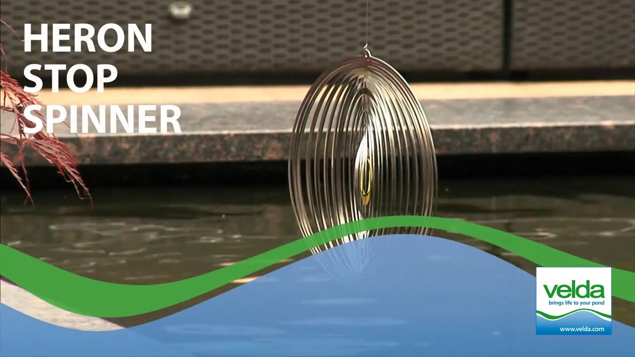 Velda Heron Stop Spinner YouTube