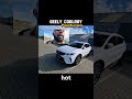 Premium features on budget pricing #geelycoolray #automotive