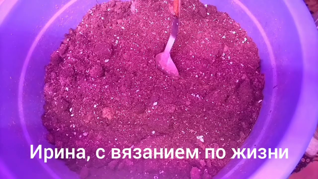 Влог с 3 по 9 ноября 2025г