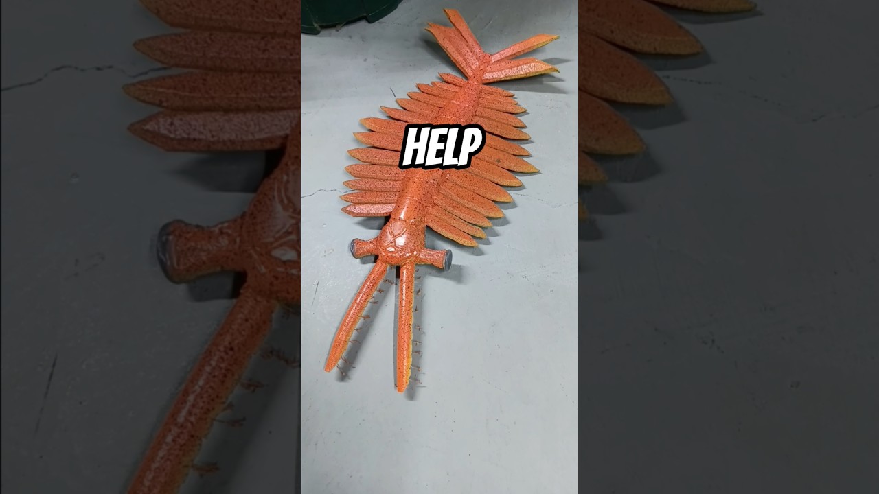 Shrimp vs the Great Mage 1 