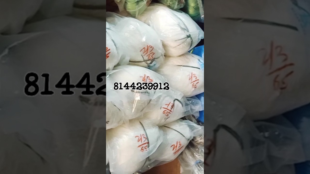 sarkar fishing 🎣 NET 