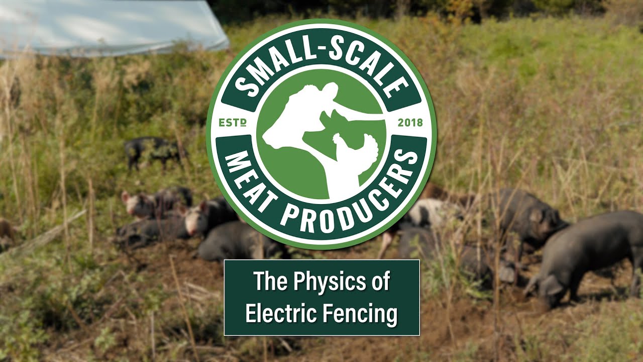 The Physics of Electric Fencing