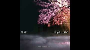 خواتيم سورة الروم | القارئ : سليمان المهنا