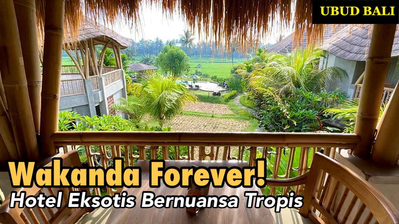 Rekomendasi Hotel View Sawah di Bali The WAKANDA Ubud YouTube