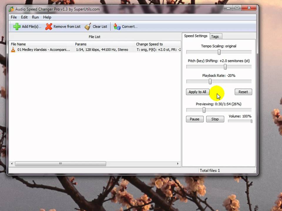 Using Audio Speed Changer Pro, Learn & Master Guitar Student