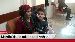 Mardin’de Sokak Köpeği İnsanlara Saldırdı
