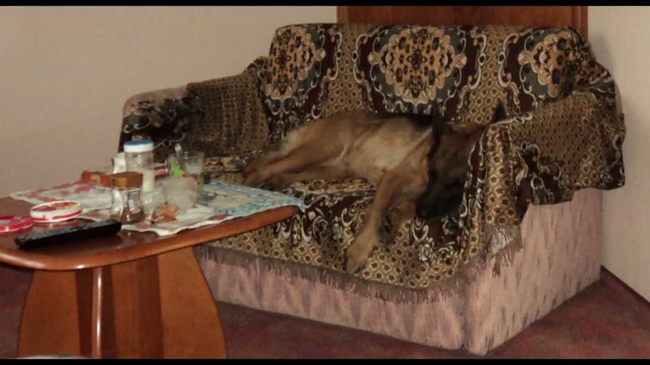 Бад Болл Отель Штауферланд вторым вечером фото