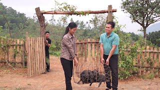 Pao was surprised to see Duyen's family happily expanding their farm.