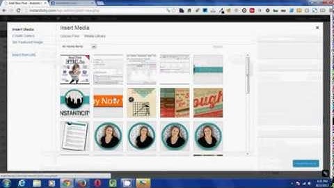 How to Use the Social Plugin by Mailchimp