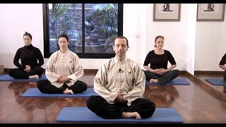 TAI CHI ONLINE | CLASS 4 | Movement at home