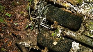 Pan Am Flight 914 Mystery Finally Solved After 74 Years