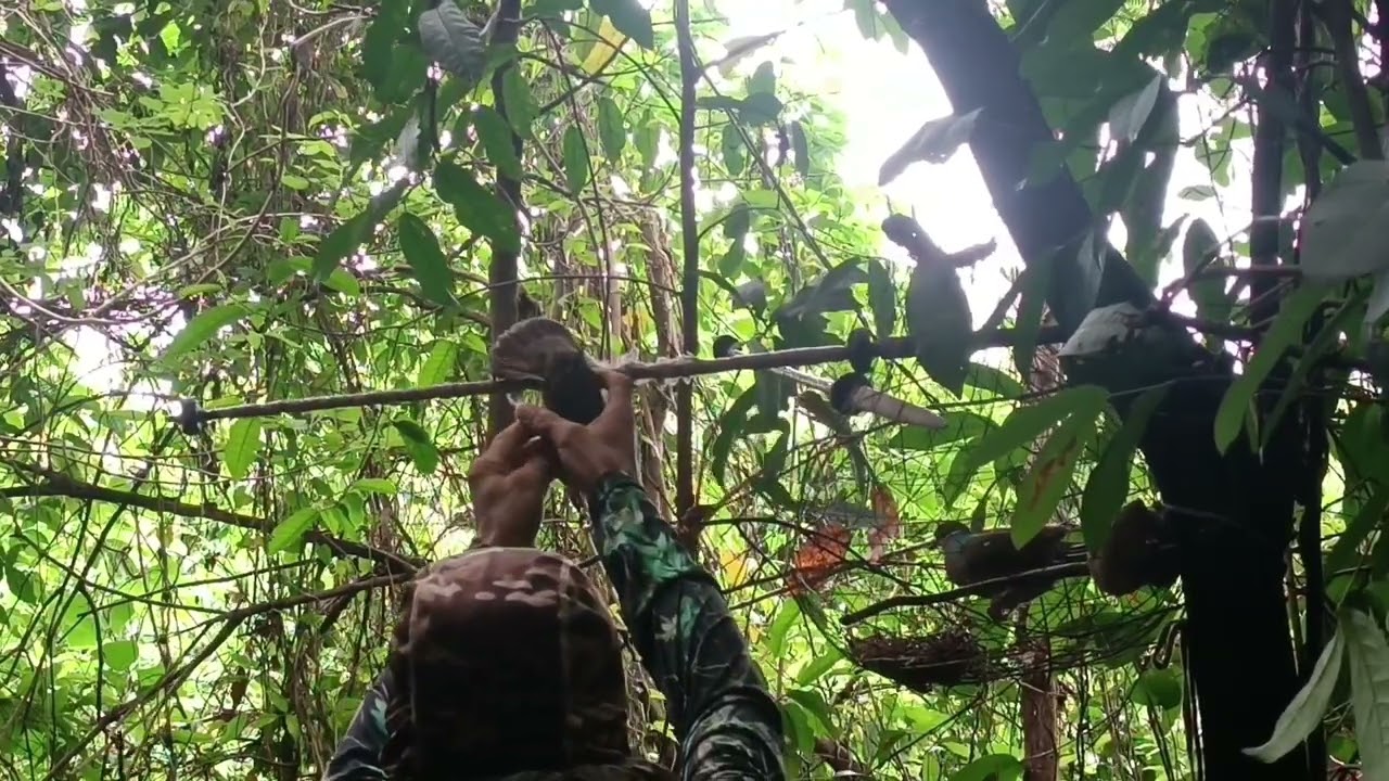 Naka bawe na se Red Carpet sa wala pag dikit sa kapolot