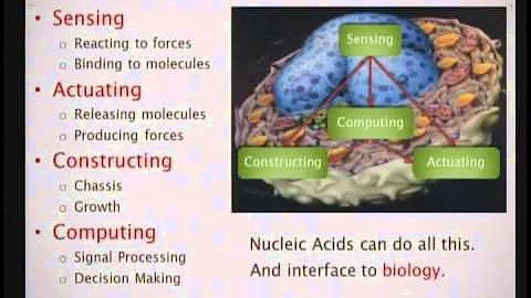 Computer Science and Engineering Distinguished Lecturer Series-Speaking the Language of Molecules