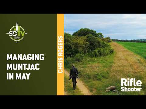 S&C TV | Managing muntjac in May | Deer management with Chris Rogers 53