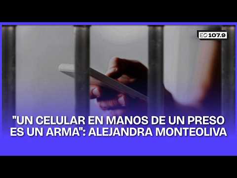 "UN CELULAR EN MANOS DE UN PRESO ES UN ARMA" - Alejandra Monteoliva