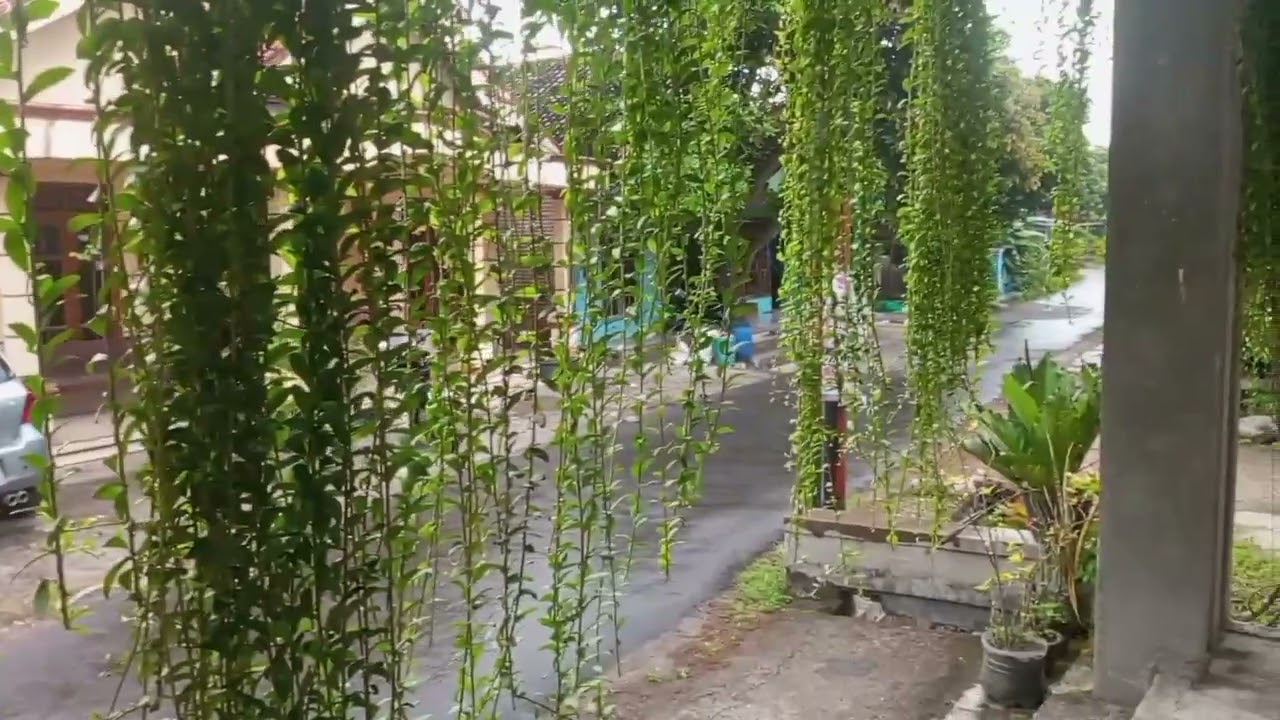 lagu Malaysia terbaik #lagumalaysia #viral #viralvidio