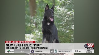York County Sheriff's office welcomes new K9