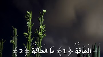 ماتيسر من سورة الحاقة بصوت الأخ يوسفي عمر