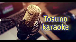 İbrahim Tatlıses - Tosuno Karaoke