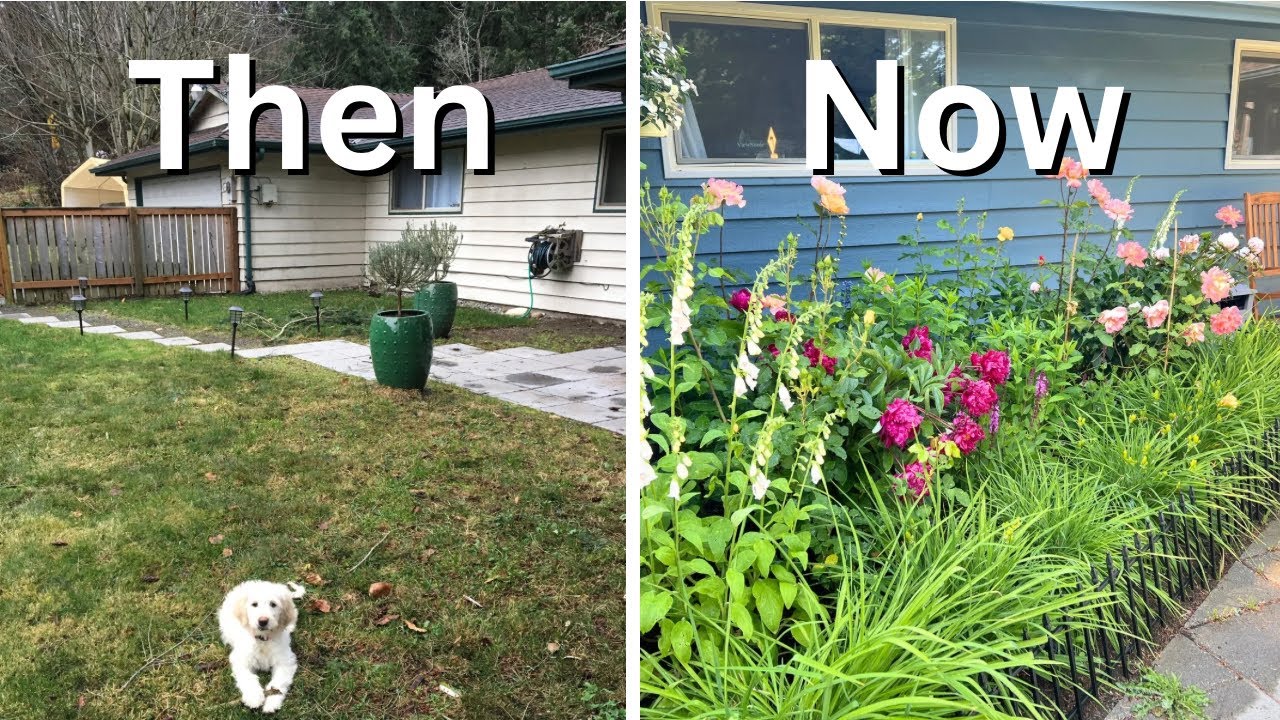 Building a Cottage Garden in One Bed (Zone 8b)