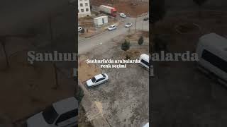 Urfada Araç Renk Seçimi Ç シ