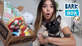 Unboxing my August Bark Box with my dog!