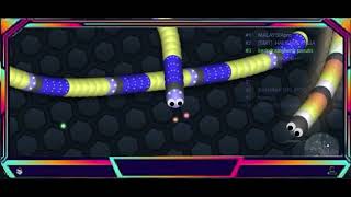 Does a snake crawl or slither screenshot 2